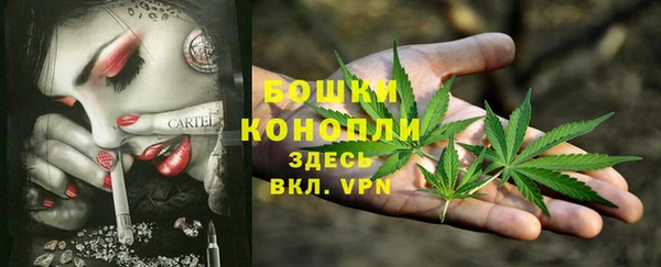 МДПВ Вязьма