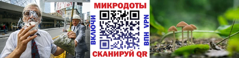 Галлюциногенные грибы мухоморы  где купить наркоту  MEGA ссылка  Питкяранта 